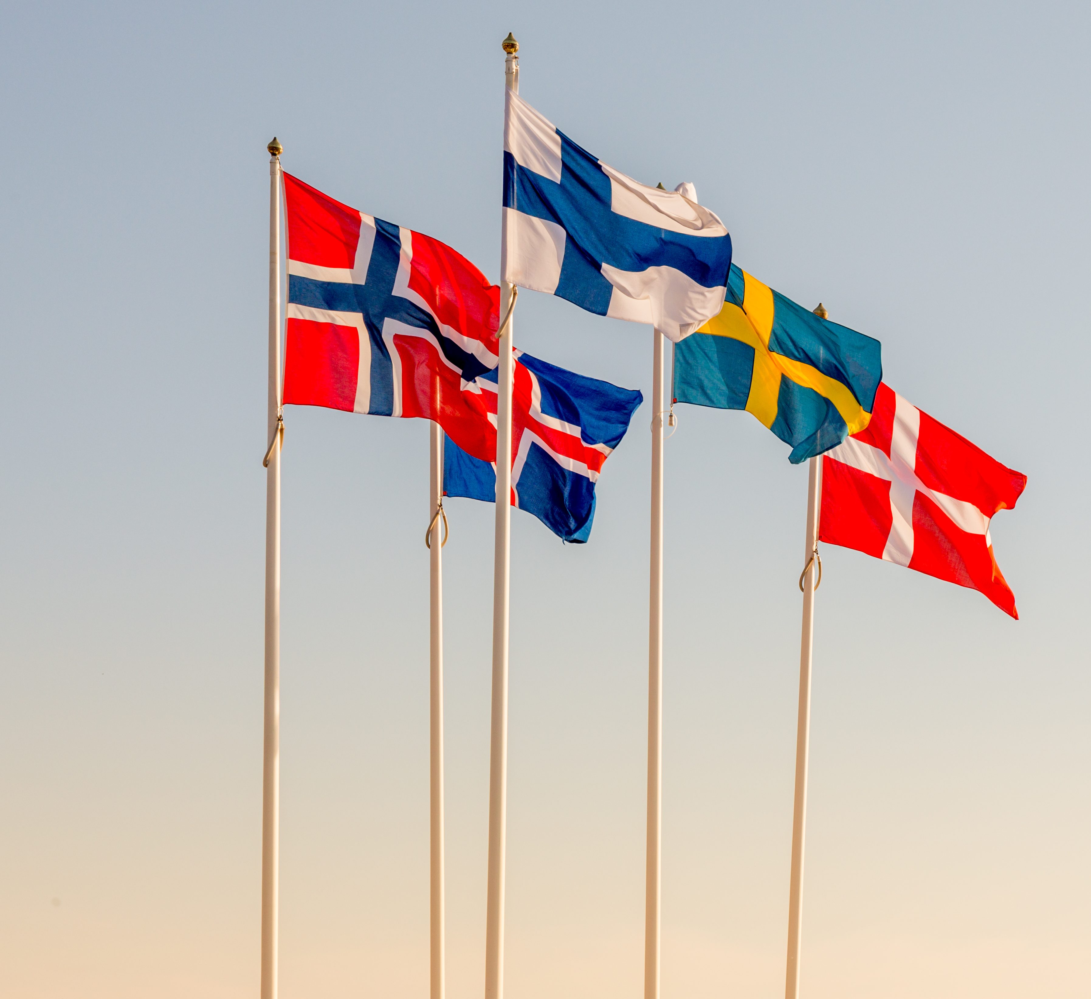 Danish, Swedish, Icelandic, Finnish and Norwegian scandinavian f Discover NCRA Image 1
