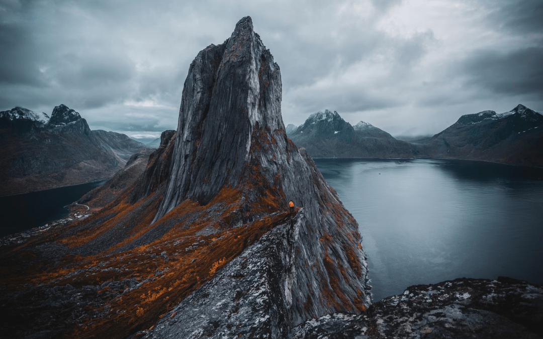 The Nordics as Europe’s Carbon Removal Hub: A Blueprint for Nordic Action